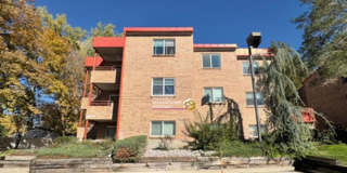 4842hc - Ogden, G. Gallery 1
