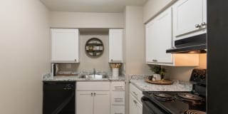 Aspen Village Gallery 2