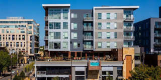 The Walkway Gallery 5