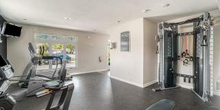 Corinth Paddock Gallery 23