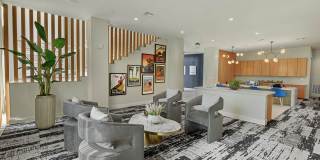 Stadia Med Main Gallery 25