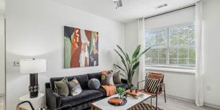 Halston Shiloh Valley Gallery 4