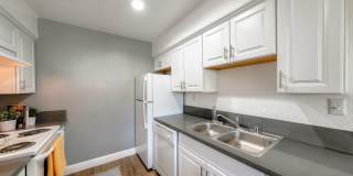 University Plaza Gallery 43