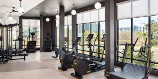 Novel Edgehill Gallery 30