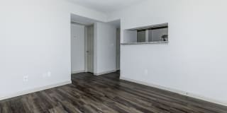 Harbor Walk Gallery 23