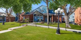 Wood Hollow Gallery 24