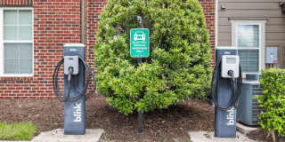 Bell Lake Forest Gallery 46