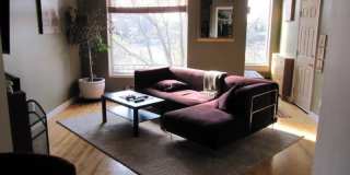 charming 1 bed 1 bath in the heart of saint paul! Gallery 1