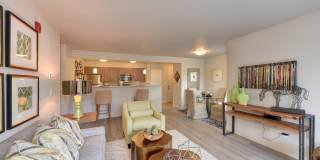 Avaya Trails Gallery 6