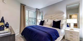 Cortland on Orange Gallery 9