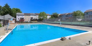 Spacious Ground Floor Condo in Silver Spring Gallery 47