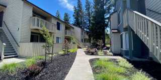 Brookside Apartment Homes Gallery 21