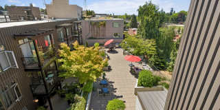 Queen Anne Collection Gallery 19