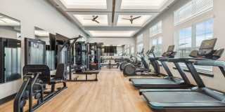 Ascend Pinegrove Ascend Pinegrove Gallery 43