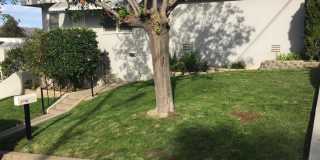 Great location 2 Bedroom 1 bath with Garage Gallery 1