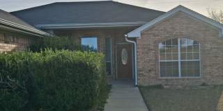 New Carpet  Paint Gallery 1