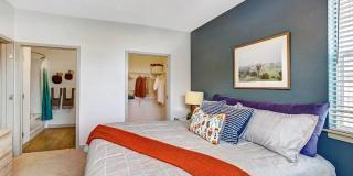 Palisade Park Gallery 8