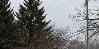 2782 S Knightsbridge Circle Gallery 14