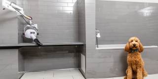 Avalon South End Gallery 32