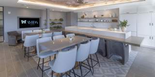 Avida Aventura Gallery 31