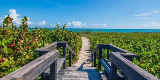 2225 Seaside Street Gallery 31