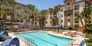 Allure Apartments Gallery 6