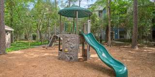 Forest View Gallery 15