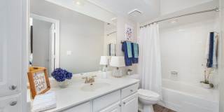 Greenwood Forest Gallery 3