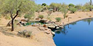 7155 E NIGHT GLOW Circle Gallery 57