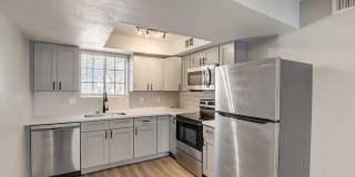 Rise on Cactus Gallery 33