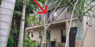 1020 Pinetree Drive Gallery 28
