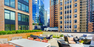 Gild Gallery 32