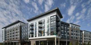 The Laureate Gallery 53