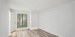 421 Warm Springs Gallery 12