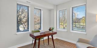 The Saratoga Gallery 10