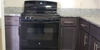 Hewitt Gardens Gallery 17