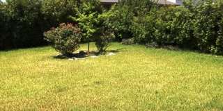 6205 Charlotte Ln Gallery 19