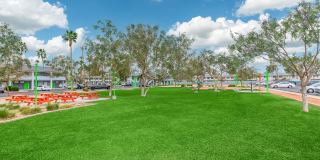 Studio 710 Gallery 37