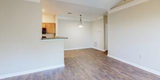 Prosper Orange Beach Gallery 5