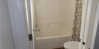 1208 Olivia Parkway Gallery 6