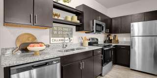 Springs at Ashby Gallery 3