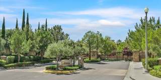 11377 Rancho Villa Verde Place Gallery 38