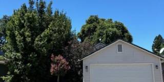 3 Bedroom Home for Rent in Chico CA | Private Backyard, Attached Garage & Pet Friendly 3 Bedroom Home for Rent in Chico CA | Private Backyard, Attached Garage & Pet Friendly Gallery 1