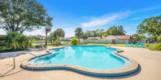Renovated Apartment in the Heart of Carollwood Gallery 26