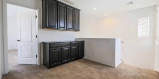 716 CALAMUS PALM Place Gallery 9