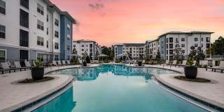 Arcadia 331 Gallery 1