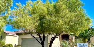**WONDERFUL SINGLE STORY HOME IN 55+ "SUN CITY ANTHEM SOLERA!!" Gallery 26