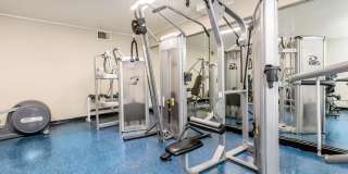 Park Sierra Gallery 93