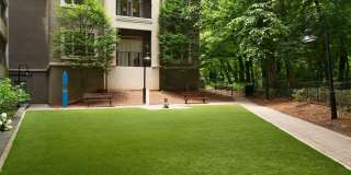 Emory Point Gallery 16