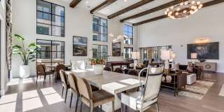 Aura Bella Gallery 4